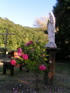 MINOLTA DIGITAL CAMERA