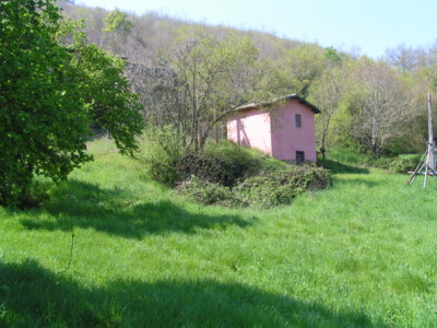 MINOLTA DIGITAL CAMERA