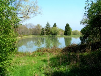 MINOLTA DIGITAL CAMERA