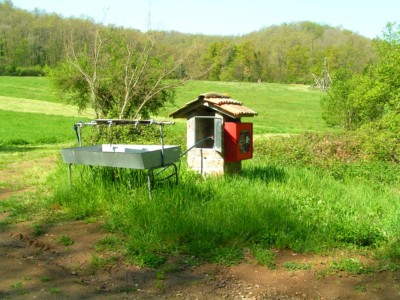 MINOLTA DIGITAL CAMERA