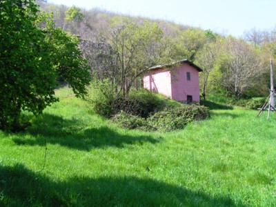 MINOLTA DIGITAL CAMERA