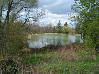 MINOLTA DIGITAL CAMERA